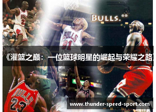 《灌篮之巅：一位篮球明星的崛起与荣耀之路》