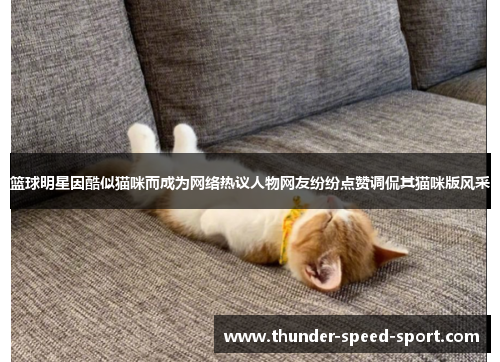 篮球明星因酷似猫咪而成为网络热议人物网友纷纷点赞调侃其猫咪版风采